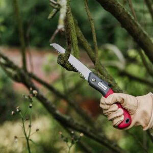 Pruning Tools